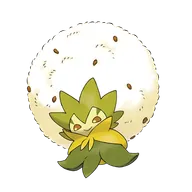 백솜모카